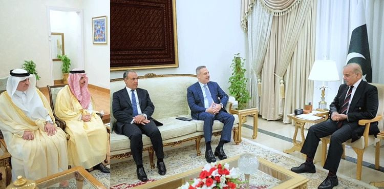 PM Shehbaz Urges Unity Among Islamic Nations